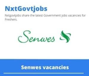 Senwes Sales Clerk Vacancies in Bothaville  – Deadline 01 May 2023